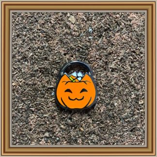 Pumpkin Cat Treats~ Mini Pin