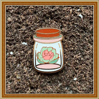 Dream Jar - Min Bin Succulent