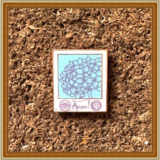 Bin Bin Photo – Ajisai - Hydrangea – Patreon Pin March ’25